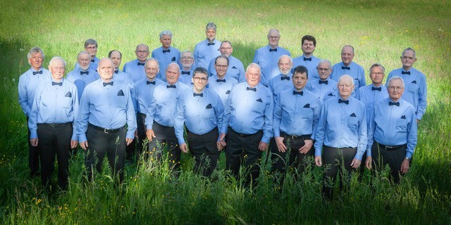 Männerchor Buchenbach im Grünen